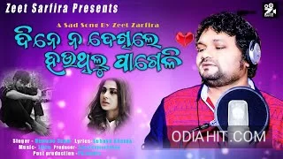 Dine Na Dekhile Hauthilu Pageli (Human Sagar) song cover art