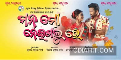 Mana Mo Nei Galu Re Orignal Title Movie Song song cover art