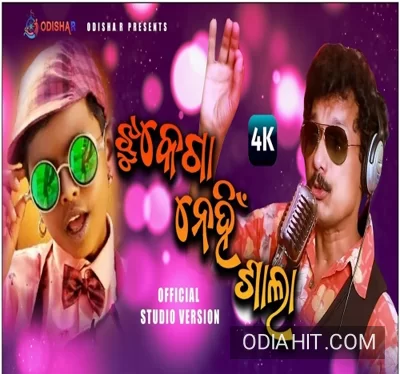 Jhukega Nehi Sala Odia Dance Song song cover art