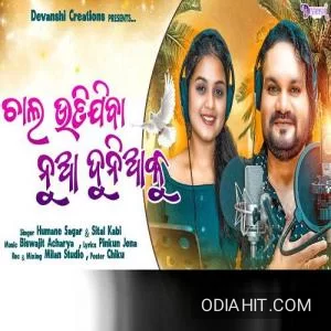 Chal Udijiba Nua Dunia Ku song cover art