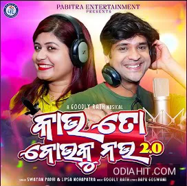 Kau To Bou Ku Nau 2.0 song cover art