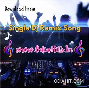 Alo Radhika Odia Song (Tapori Vibration) Dj Ramesh Kdp X Dj Kalia song cover art