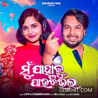 Mu Jahaku Pauchi Bhala song cover art