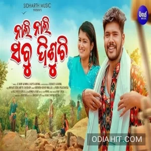Nali Nali Sabu Disuchi song cover art