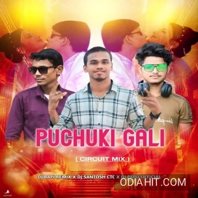 Puchuki Gali (Circuit Mix)Dj Papu Official x Dj Bapi Bbsr Ft Dj Santosh song cover art