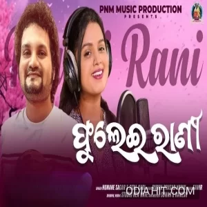 Phulei Rani song cover art
