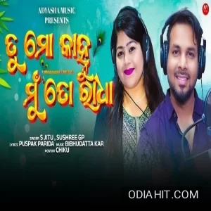 Tu Mo Kanhu Mu To Radha song cover art