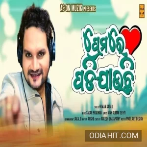Premare Padi Jauchi song cover art