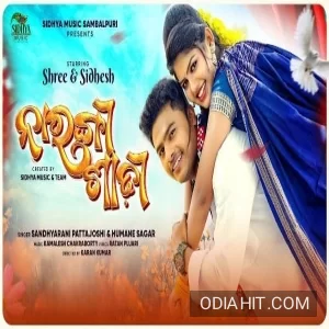 Narangi Sadhi song cover art