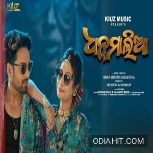 Dhanmalia song cover art