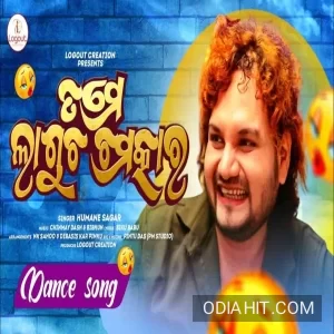 Tame Lagucha Chamatkara song cover art