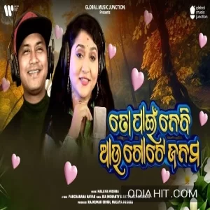 To Pain Nebi Au Gote Janam song cover art