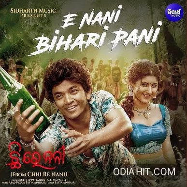 E Nani Bihari Pani (Chhi Re Nani) song cover art
