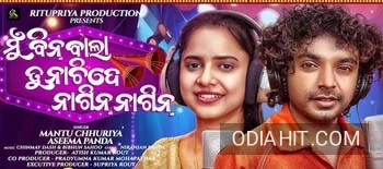 Mu Bin Bala Tu Nachide Nagin Nagin song cover art