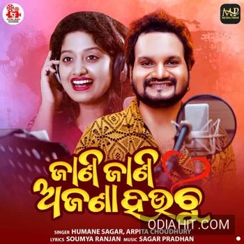 Jani Jani Ajana Hauchu song cover art