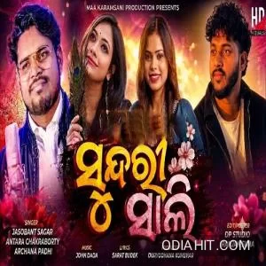 Sundri Saali song cover art