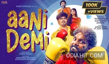 Aani Demi song cover art