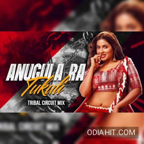 Anugulu Ra Tukuli Odia Cg Tapori Vibration Mix Dj Sushant Bpd X Dj Prakash song cover art