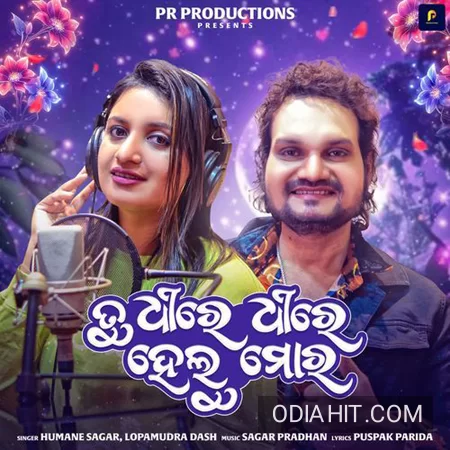 Tu Dhire Dhire Helu Mora song cover art